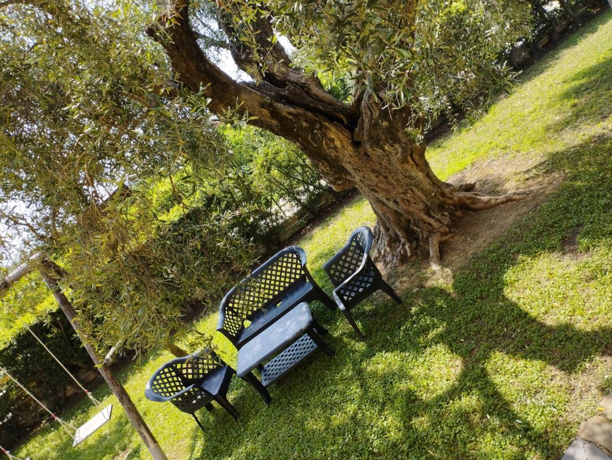 Проживание в семье Magnolia House Scanzano Jonico